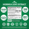 Zazzee Organic Moringa 20:1 Extract, 20,000 mg Strength, 120 Vegan