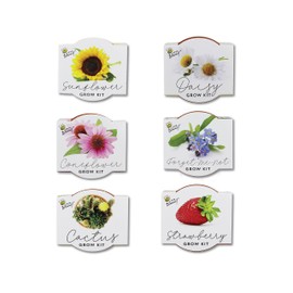 BUZZY Seeds Terracotta Mini Grow Pots | Herb, Plant, Flower Starter Kit for Kids & Adults | Assorted 6-Pack, Classic Collection | Guaranteed to Grow | Best Indoor Grow Your Own Plant Gardening Gift