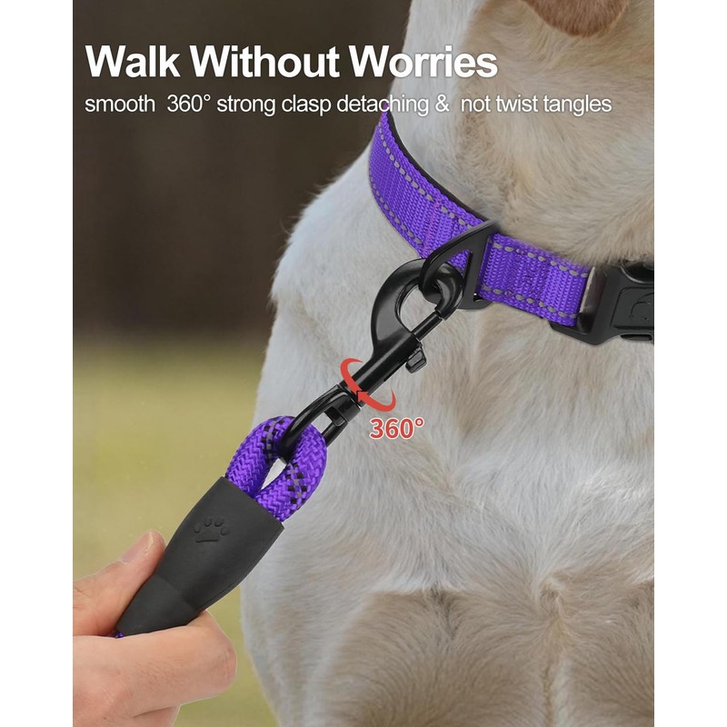 Joytale Dog Leash for Small Dogs, Heavy Duty Nylon Leashes