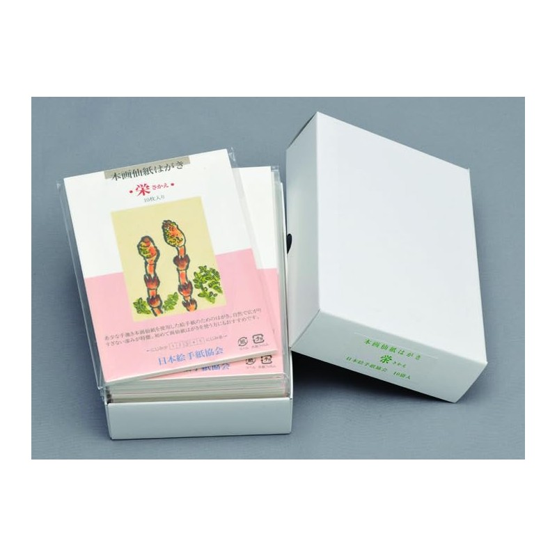 Picture Letter Postcard Sakae, Pack of 100