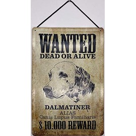 Blechschild With cord 30 x 20 cm animal sign: Wanted Dead or Alive $10,000 reward - Dalmatian - Blechemma