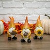 RAZ Imports 2022 Autumn Abundance 7.75" Fall Gnome, Assortment of