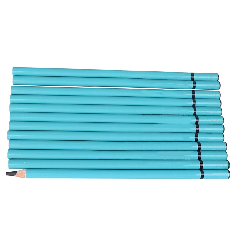 12pcs Charcoal Pencils Set Synthetic Wood Sketching Drawing Pencils for