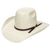 RESISTOL Hooey Collection Pecos Straw Cowboy Hat Tan,Green