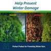 Wilt-Pruf® Concentrate | Protect Against Winter Damage, Drought, and Stress