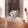 Cat Door for Screen Door, Inside Door 9x9x0.4 inch, Magnetic
