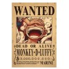 Generic 10 x One Piece Luffy Straw Hat Pirates Wanted