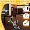 CATPICK Interactive Cat Toys for Indoor Cats Automatic Electric Flying