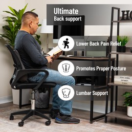 Mind Reader Air-Cloud Lumbar Cushion, Ergonomic Memory Foam Back Support Pillow for Office Chairs, Recliners, and Car Seats, Chiropractor-Recommended, 14.5" L x 5" W x 18.5" H, Gray