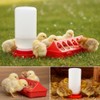 4PCS Chick Feeder and Waterer Kit,3×12-Hole Trough Feeders and 1