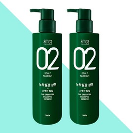Amos Professional Green Tea Realistic Shampoo Oily Scalp Refreshing Type 500gX2 / 아모스 프로페셔널 녹차실감 샴푸 지성 두피 산뜻한타입 500gX2개