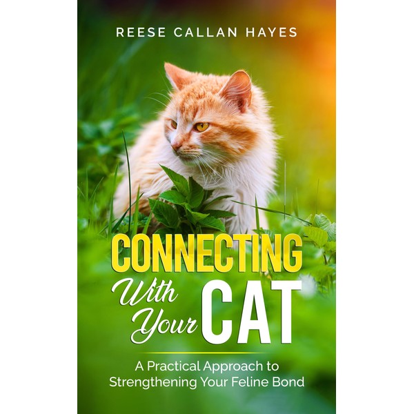  Connecting With Your Cat: A Practical Approach to Strengthening