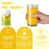 Vegs Mango Juice Powder - Freeze Dried Organic Mango Juice