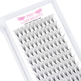 Ready-to-Use Eyelash Fans, 12D-D-0.05-8-15, Pointy Base, Ready-to-Use Fan Eyelash Extensions, Pointy Base, 0.07, 0.10, Eyelash Extension, C D Eyelashes, Volume Technology, 8-15 mm (12D-D-0.05, 8-15