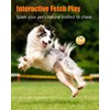 Squeaky Dog Toys, Stuffed Plush Puppy Toy Balls to Keep
