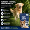 BARK & BRAWN Power Multivitamínico 450 g | Suplementos para