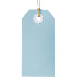 Avery Swing Gift Tags with String, Blue, 96 x 48 mm, 24 Tags (13202)