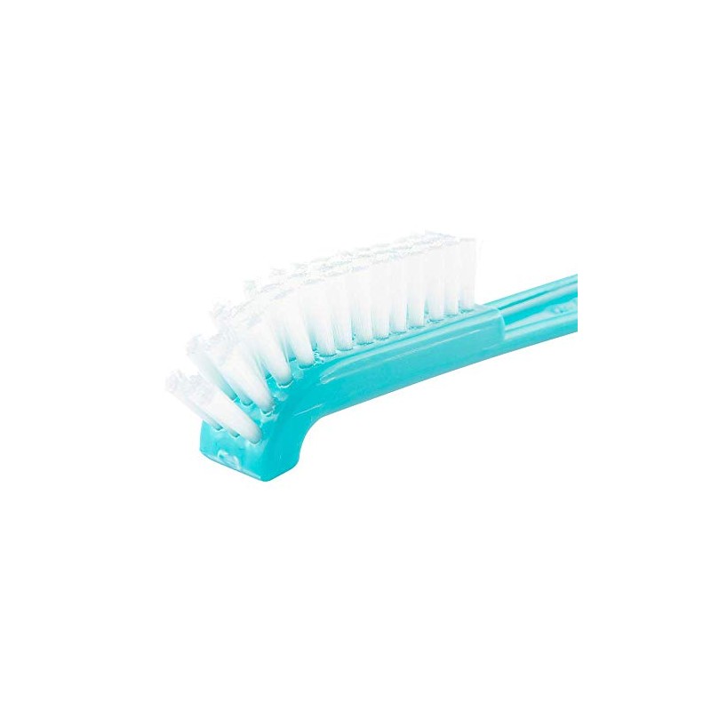 Evenflo Advanced Escobillón para Biberón, Cerdas de Nylon, Punta de