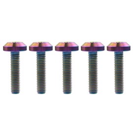 Ruifu Hex Socket Head Cap Screws, Titanium Alloy, Available in M6 x 12/15/20/25/30/35 mm, M8 x 15/20/25/30/35/40 mm, For Bicycles & Motorcycles, Wheels, License Plate Mounting Bolts, Set of 5 (M8 x 25 mm, Rainbow)