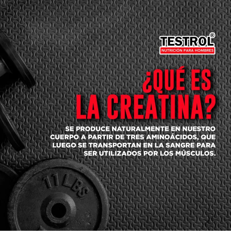 Creatina Platinum Testrol | 120 Cápsulas | Aumento de Fuerza
