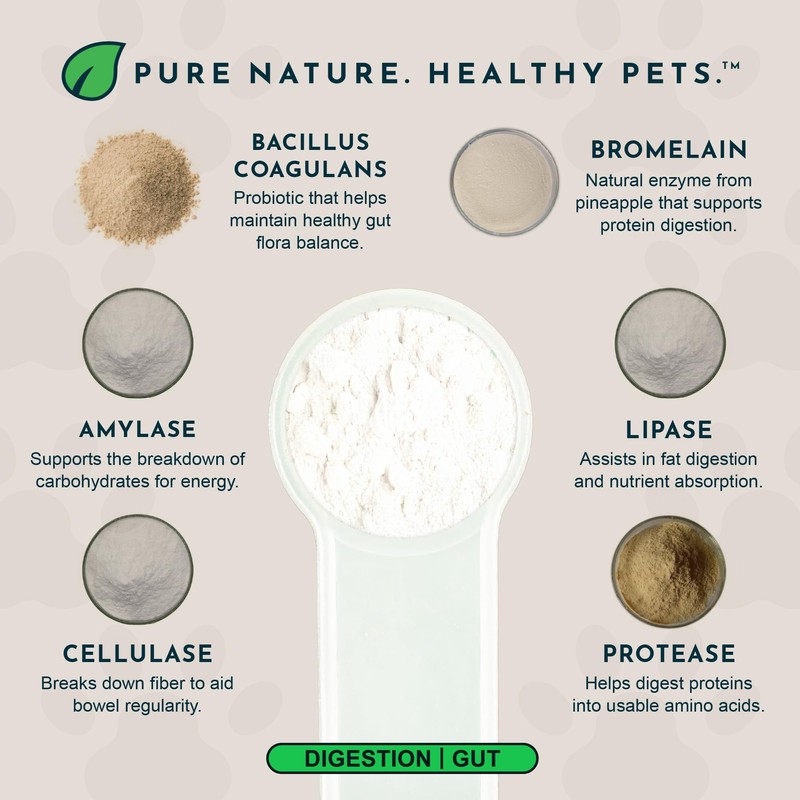 Animal Essentials Plant Enzyme & Probiotics - Probiotics & Digestive