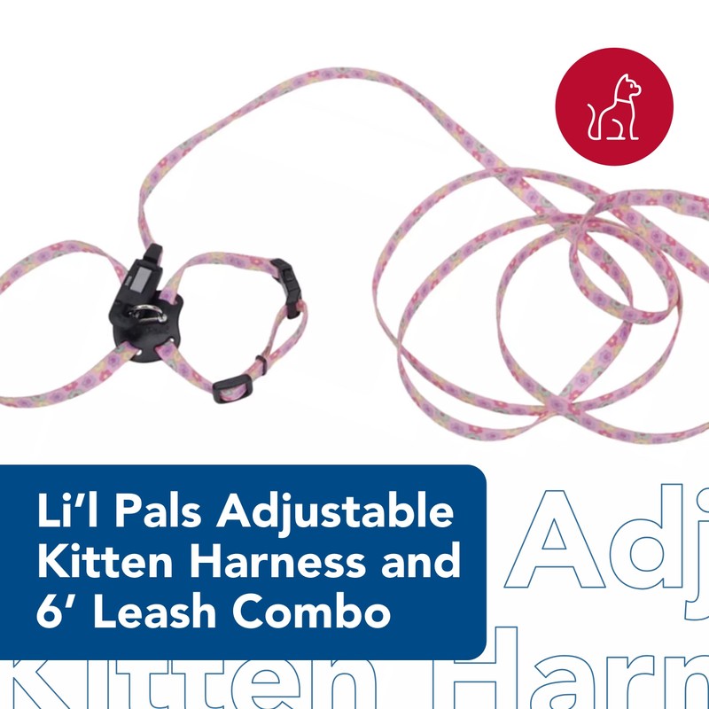 Coastal - Li’l Pals Adjustable Kitten Harness and Leash Combo