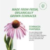 A.Vogel A.Vogel Echinaforce Echinacea Chewable Tablets - Organic Echinacea Supplement
