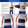 NYOrtho Back Brace Lumbar Support Belt - for Men and
