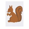 Azeeda 'Eichhörnchen mit Eichel' Temporäres Tattoo - Hautfreundlicher & Ungiftiger