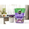 Miracle-Gro African Violet Potting Mix, 8qt, 2-Pack