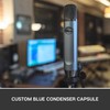 Blue Ember XLR Condenser Mic for Recording and Streaming, Custom