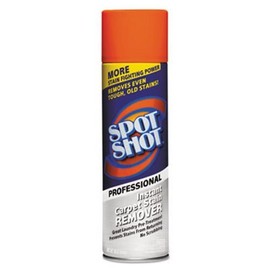 Professional Instant Carpet Stain Remover, Light Scent,18oz.Spray Can, 12/Carto