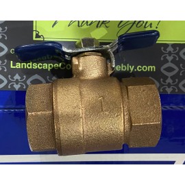 FEBCO Genuine OEM Febco 1” Ball Value For 765-1 - Landscape Pro - A WATTS Brand 1 Inch