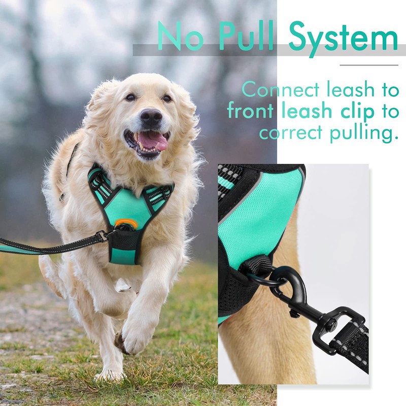 rabbitgoo Dog Harness, No-Pull Pet Harness with 2 Leash Clips,
