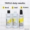 Kenra Triple Repair Shampoo & Conditioner Set | Targets &