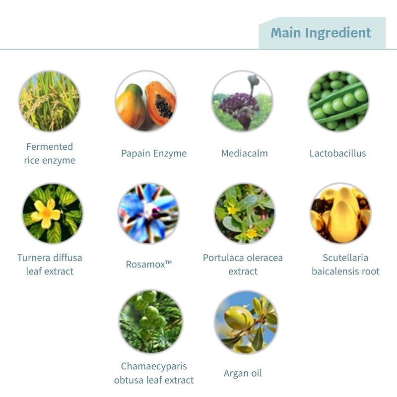 Rene Cell Placen Enzyme Sub Acid Wash Powder, 2.8 oz