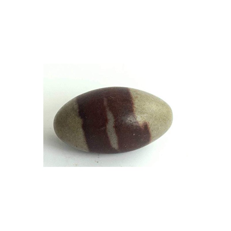 KLEO Espranade Narmada Stone Narmadeshwar, Shiva Lingha | Shiva Lingham
