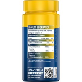 Wellgard Himalayan Shilajit Gummies – Formulated with Ashwagandha, B-Vitamins, and Zinc, Vegan