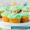 Easter Cocktail Picks,100 PCS Easter Bunny Toothpicks for Appetizers,4.7 inch
