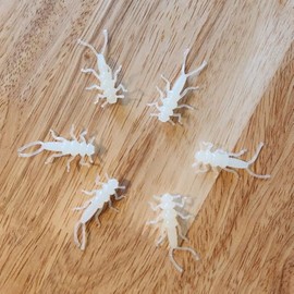 PA Lures Glow Soft Plastic Stonefly 20 Pack