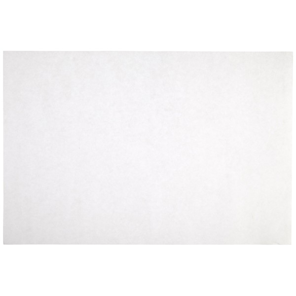 Sax Sulphite Drawing Paper, 80 lb, 9 x 12 Inches, Extra-White, Pack of 500 - 053943