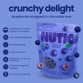 Nutic Milk Chocolate Covered Blueberries - 1Lb, Premium Gourmet Chocolate Candy Delight with Dried Blueberry, Perfect for Holiday Gifts & Food Baskets, Made in USA - (Pack of 1)