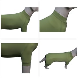 LoveLongLong Dog Jumpsuit with UV Protection and Quick-Dry Fabric for Spring Summer Pet Pajamas Light Green M