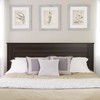 Prepac Stylish Flat Wood Panel Headboard for King Size Beds,
