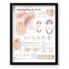 Set of 3 Framed Medical Posters Understanding The Teeth The
