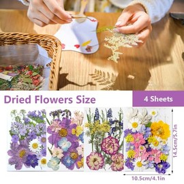 GUTLIVTAG Dried Pressed Flowers, Natural Colorful Pressed Flowers Bulk Real Dry Flowers Leaves Set Dried Flowers for Resin Jewelry Candle Soap Making DIY Nail Art (Multicolor_Purple)