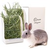 CALPALMY 2-Pack Hay Feeder for Rabbits, Guinea Pigs, and Chinchillas