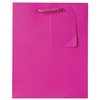 Jillson Roberts Small Gift Bag, Magenta Matte, 12-Count (ST910)