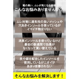 Silica Comfort Insole, Insole, Leather Shoes, Sneakers, Strong Deodorization, Odor Resistant, Moisture Prevention, Deodorization, Built-in Silica Gel, Reusable (L(10.0 - 10.2 inches (25.5 - 26.0 cm),