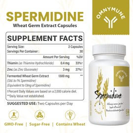 Fermented Wheat Germ Extract - 13 mg spermidine per Capsule - with zinc and thiamine - 60 Capsules (60 Count (Pack of 1))